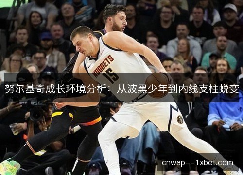 努尔基奇成长环境分析：从波黑少年到内线支柱蜕变