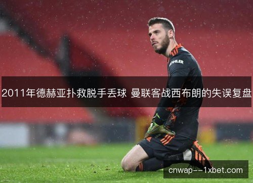 2011年德赫亚扑救脱手丢球 曼联客战西布朗的失误复盘